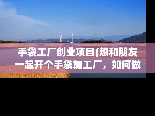 手袋工厂创业项目(想和朋友一起开个手袋加工厂，如何做？谢谢！)