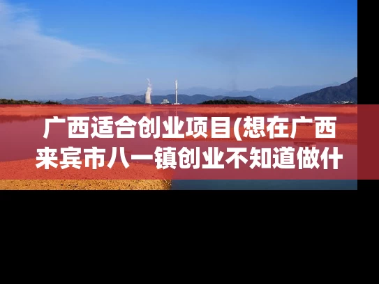 广西适合创业项目(想在广西来宾市八一镇创业不知道做什么好呢)