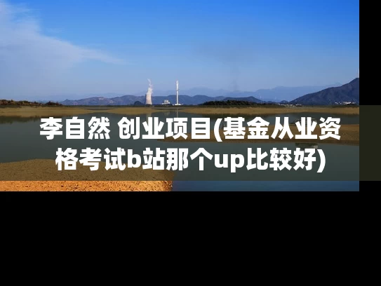 李自然 创业项目(基金从业资格考试b站那个up比较好)