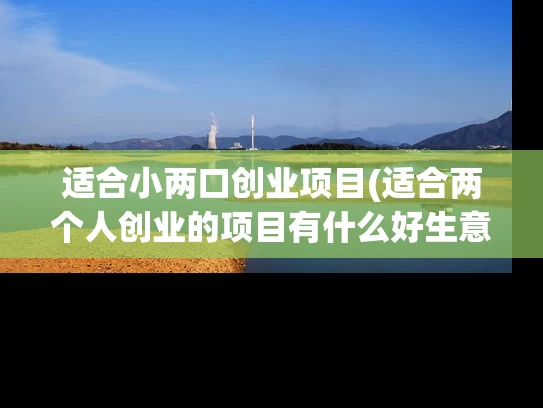 适合小两口创业项目(适合两个人创业的项目有什么好生意)