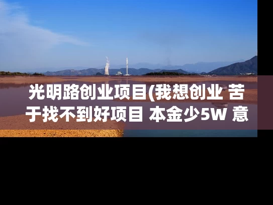 光明路创业项目(我想创业 苦于找不到好项目 本金少5W 意向做餐饮 特色小吃类 我安徽宣城 给点建议啊)