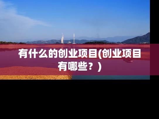 有什么的创业项目(创业项目有哪些？)