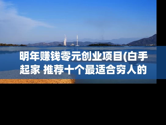 明年赚钱零元创业项目(白手起家 推荐十个最适合穷人的创业项目 小生意不起眼却很赚钱)