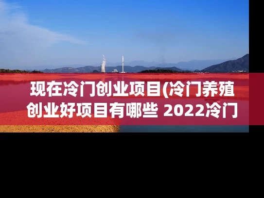 现在冷门创业项目(冷门养殖创业好项目有哪些 2022冷门养殖创业好项目)