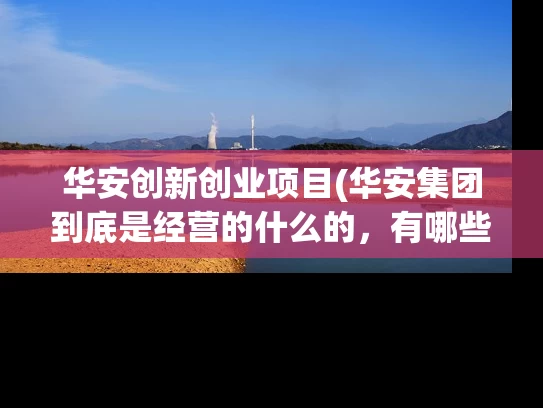 华安创新创业项目(华安集团到底是经营的什么的，有哪些产业？)