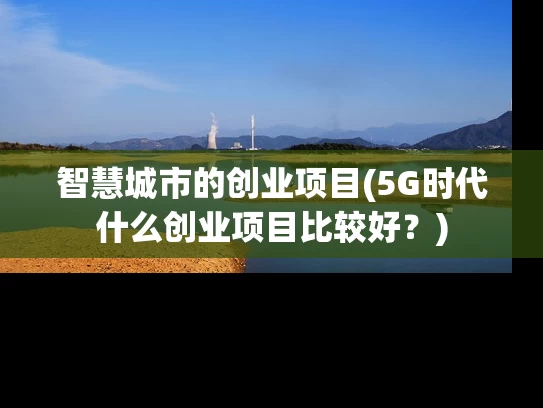 智慧城市的创业项目(5G时代什么创业项目比较好？)