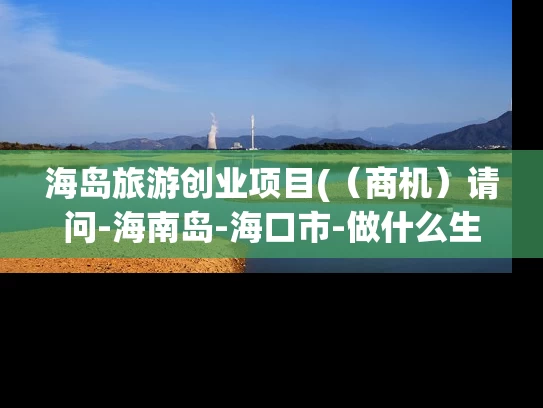 海岛旅游创业项目(（商机）请问-海南岛-海口市-做什么生意，投资比较好？风险比较小？什么生意适合我做？大家帮帮忙。)
