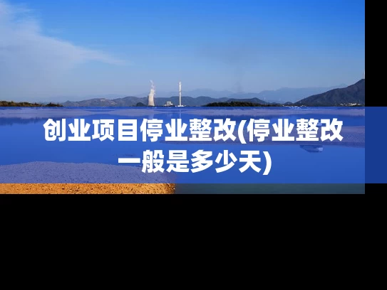 创业项目停业整改(停业整改一般是多少天)