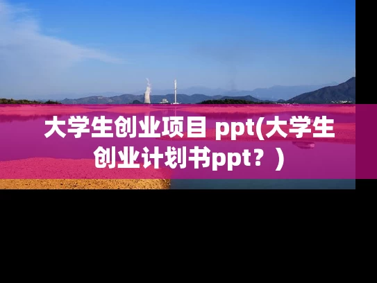 大学生创业项目 ppt(大学生创业计划书ppt？)