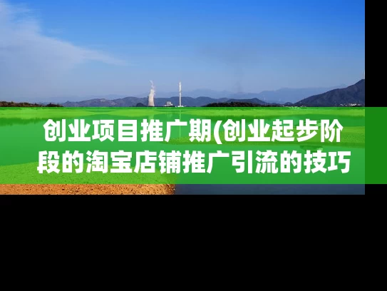 创业项目推广期(创业起步阶段的淘宝店铺推广引流的技巧)