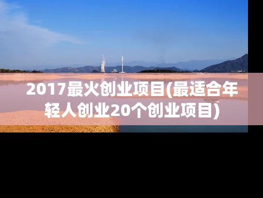 2017最火创业项目(最适合年轻人创业20个创业项目)