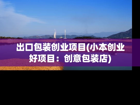 出口包装创业项目(小本创业好项目：创意包装店)