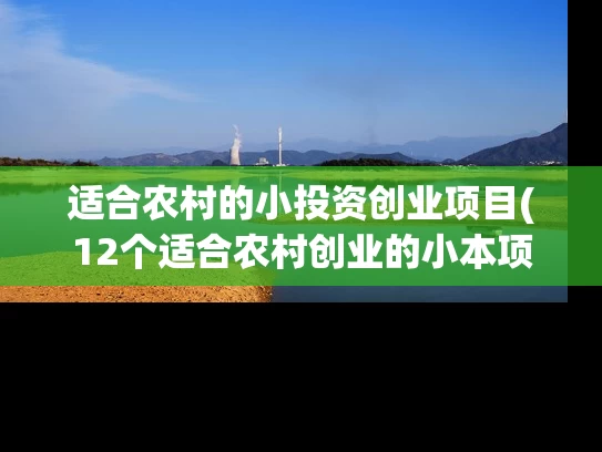 适合农村的小投资创业项目(12个适合农村创业的小本项目)