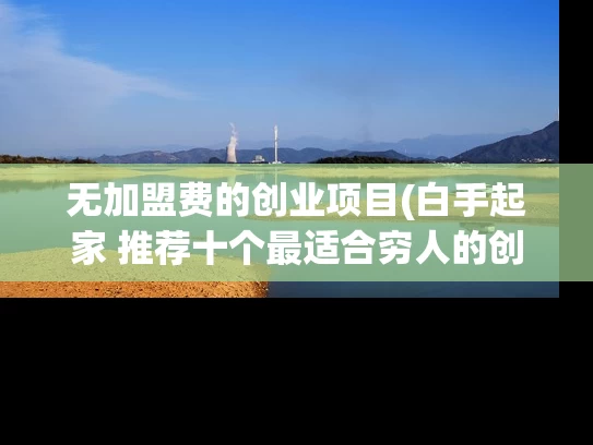 无加盟费的创业项目(白手起家 推荐十个最适合穷人的创业项目 小生意不起眼却很赚钱)