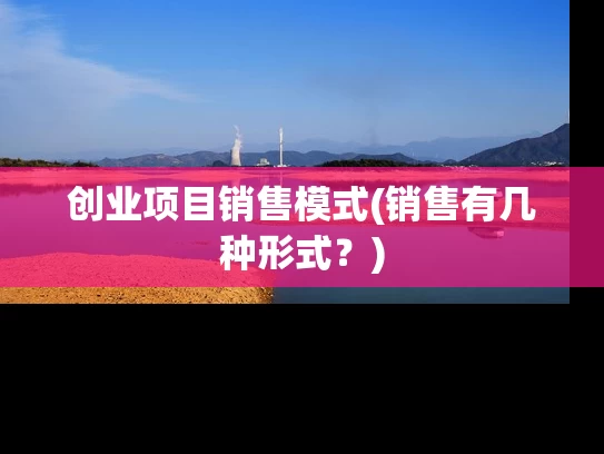 创业项目销售模式(销售有几种形式？)
