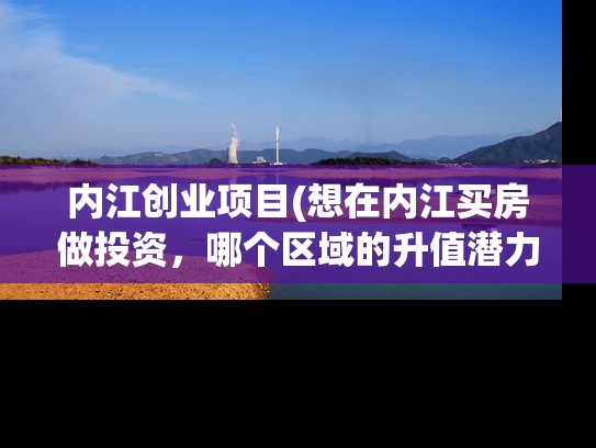 内江创业项目(想在内江买房做投资，哪个区域的升值潜力大？)