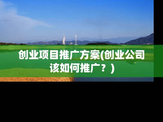 创业项目推广方案(创业公司该如何推广？)
