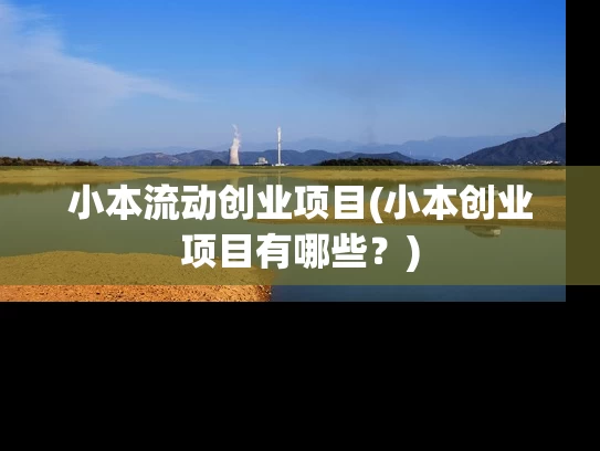 小本流动创业项目(小本创业项目有哪些？)