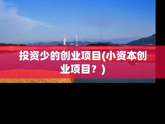 投资少的创业项目(小资本创业项目？)