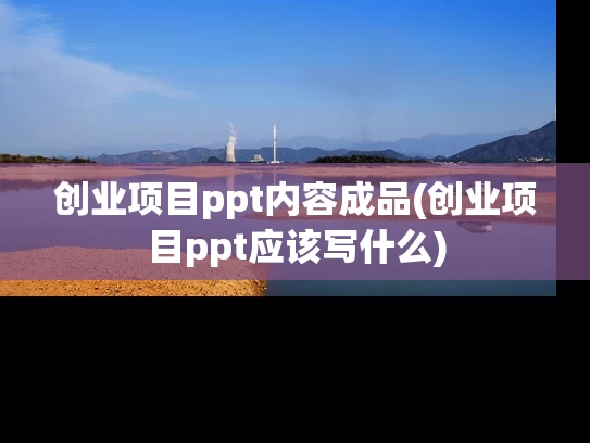 创业项目ppt内容成品(创业项目ppt应该写什么)