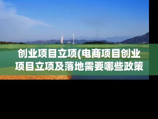 创业项目立项(电商项目创业项目立项及落地需要哪些政策支持？)