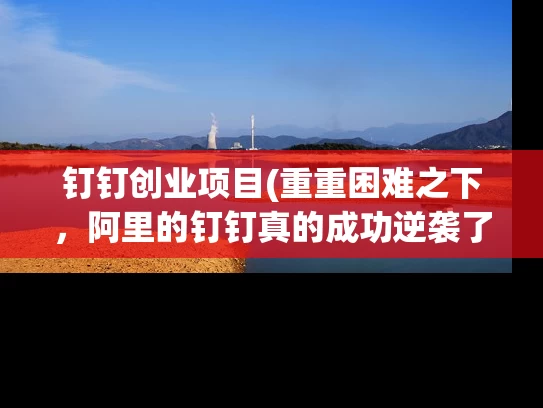 钉钉创业项目(重重困难之下，阿里的钉钉真的成功逆袭了吗)