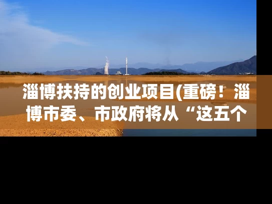 淄博扶持的创业项目(重磅！淄博市委、市政府将从“这五个方面”推进经济高质量发展！)