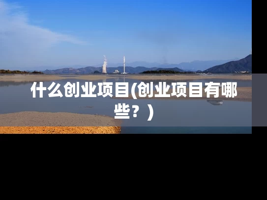 什么创业项目(创业项目有哪些？)