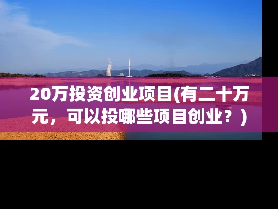 20万投资创业项目(有二十万元，可以投哪些项目创业？)