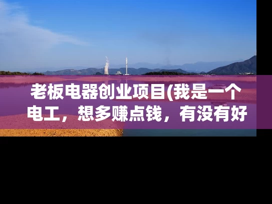 老板电器创业项目(我是一个电工，想多赚点钱，有没有好的电工创业项目？)