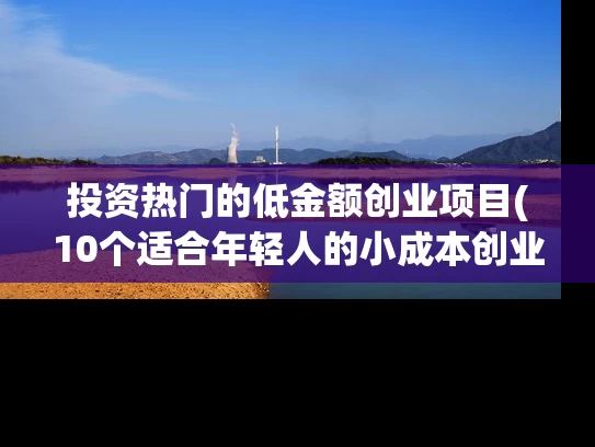 投资热门的低金额创业项目(10个适合年轻人的小成本创业项目)