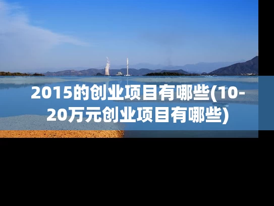 2015的创业项目有哪些(10-20万元创业项目有哪些)