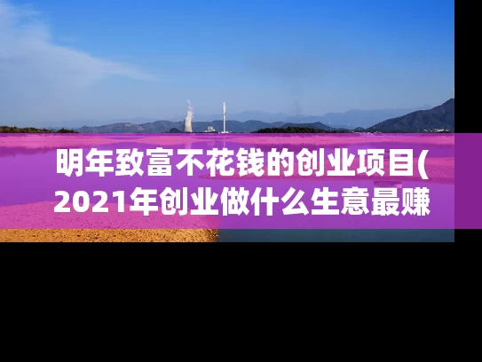 明年致富不花钱的创业项目(2021年创业做什么生意最赚钱呢？)