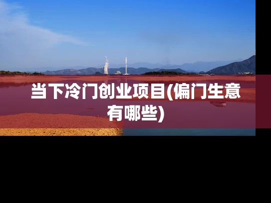 当下冷门创业项目(偏门生意有哪些)