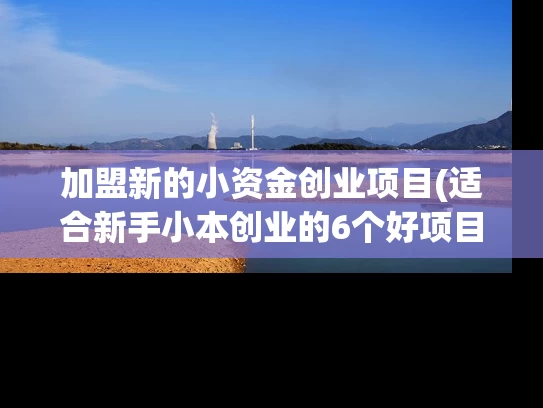 加盟新的小资金创业项目(适合新手小本创业的6个好项目)