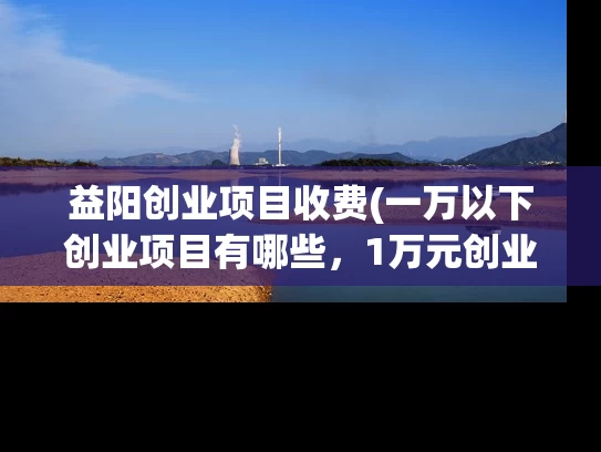 益阳创业项目收费(一万以下创业项目有哪些，1万元创业小项目推荐)
