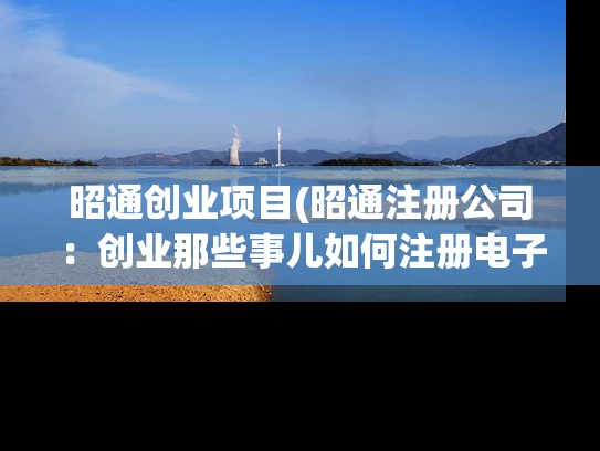 昭通创业项目(昭通注册公司：创业那些事儿如何注册电子商务公司)