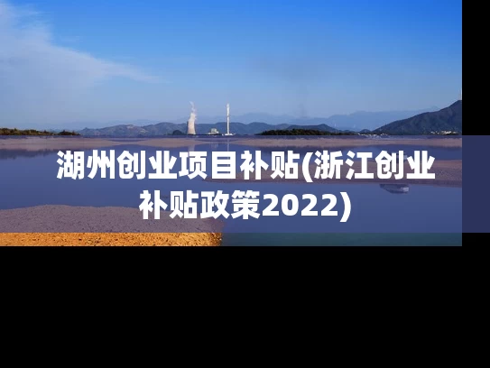 湖州创业项目补贴(浙江创业补贴政策2022)
