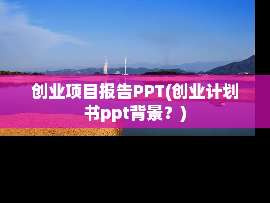 创业项目报告PPT(创业计划书ppt背景？)