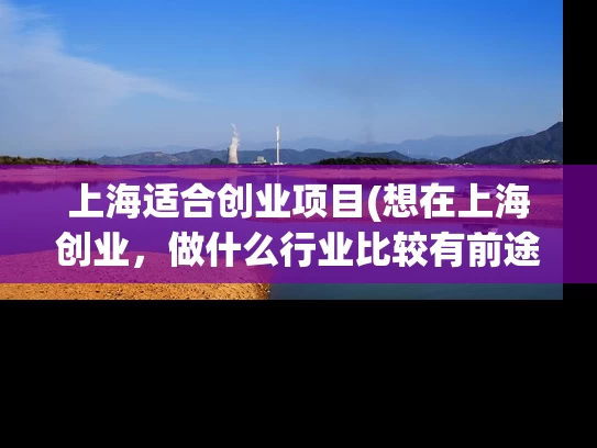 上海适合创业项目(想在上海创业，做什么行业比较有前途呢？)