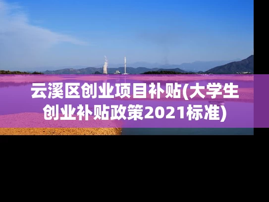 云溪区创业项目补贴(大学生创业补贴政策2021标准)