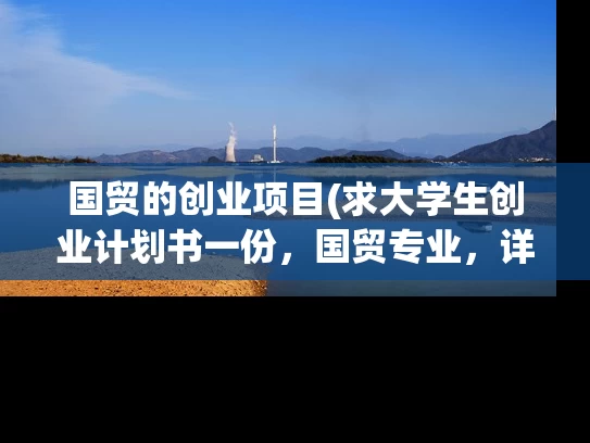 国贸的创业项目(求大学生创业计划书一份，国贸专业，详细点。)