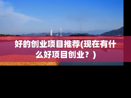 好的创业项目推荐(现在有什么好项目创业？)