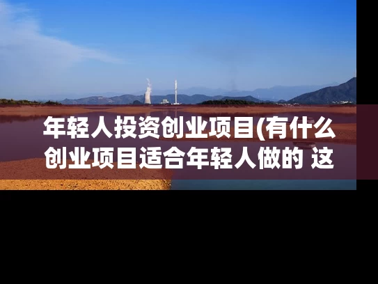 年轻人投资创业项目(有什么创业项目适合年轻人做的 这些项目前景好)