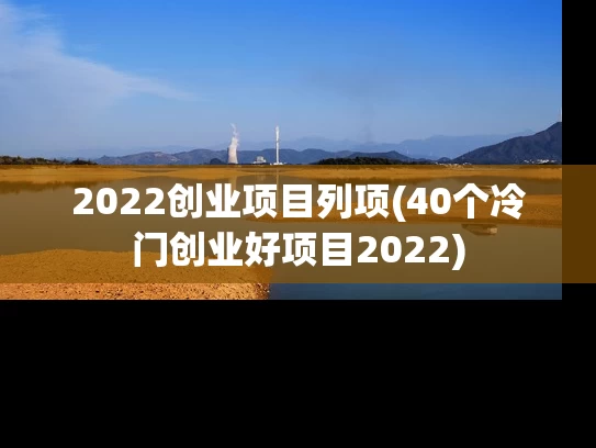 2022创业项目列项(40个冷门创业好项目2022)