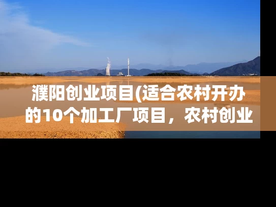 濮阳创业项目(适合农村开办的10个加工厂项目，农村创业小型加工厂有哪些)