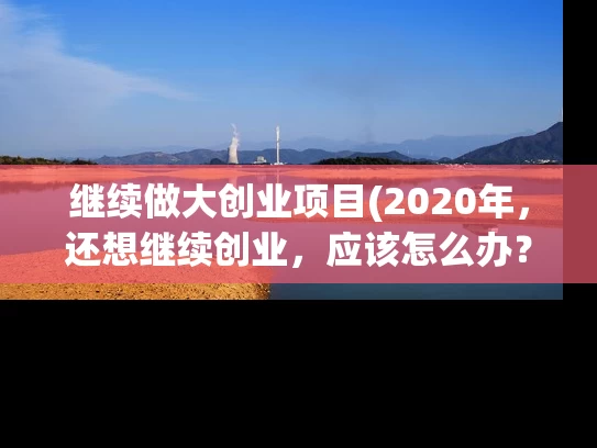 继续做大创业项目(2020年，还想继续创业，应该怎么办？)