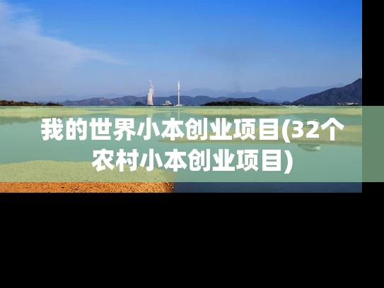 我的世界小本创业项目(32个农村小本创业项目)
