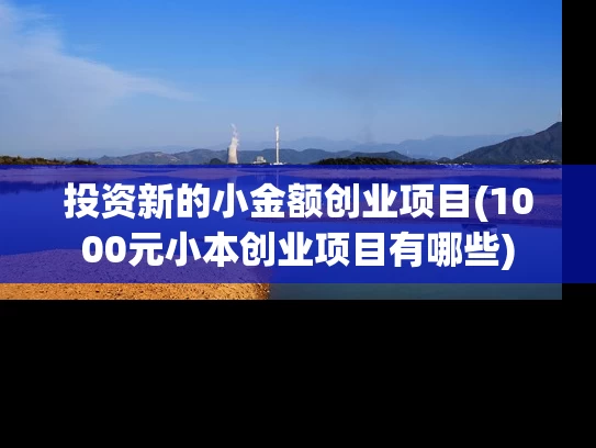 投资新的小金额创业项目(1000元小本创业项目有哪些)