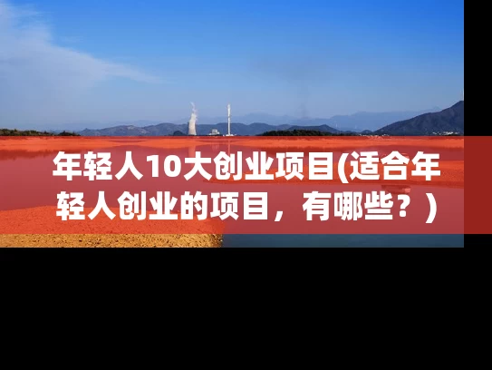年轻人10大创业项目(适合年轻人创业的项目，有哪些？)